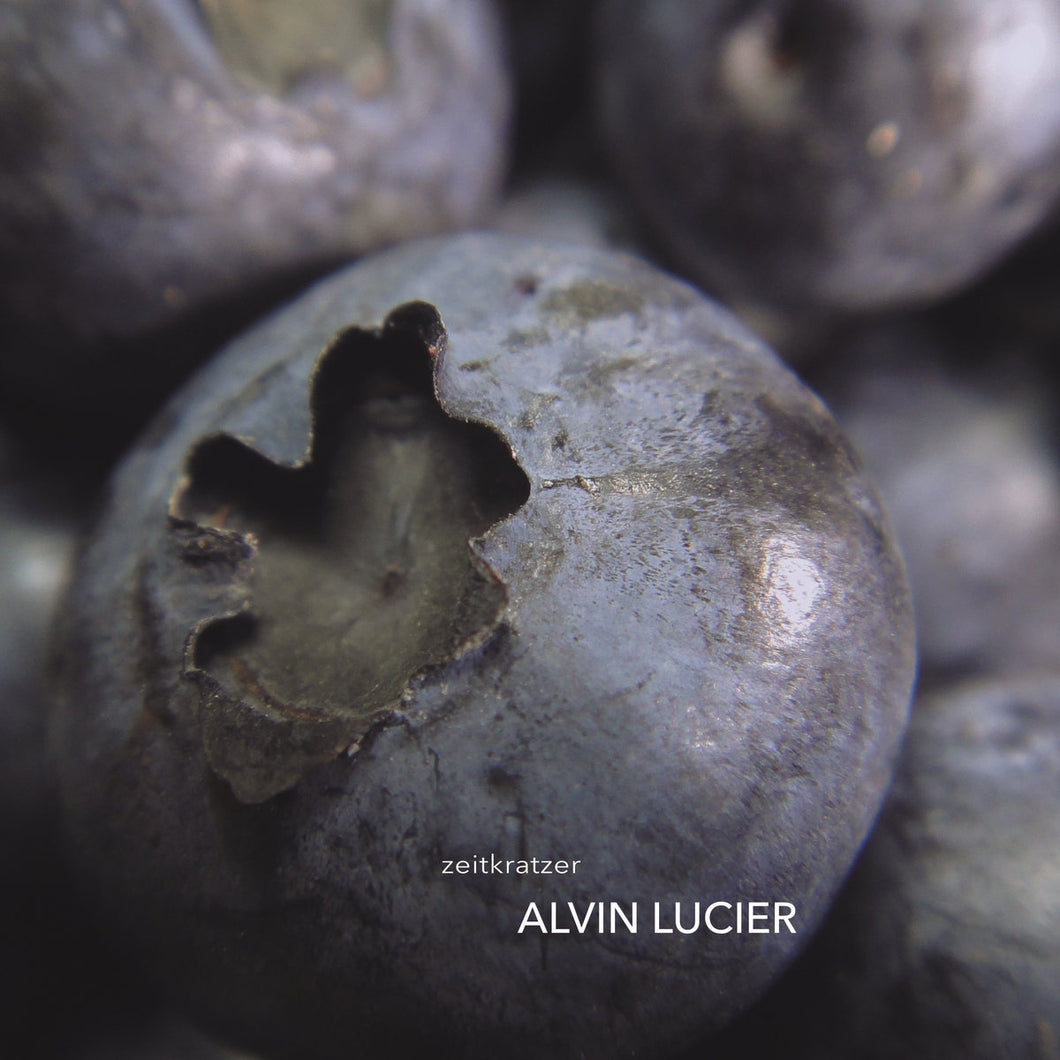 Alvin Lucier / Zeitkratzer • Music For Piano With Magnetic Strings