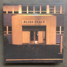 Brin & Josiah Steinbrick • Bliss Place