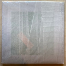 Load image into Gallery viewer, Diastolic Murmurs / Furt • Hospital Of The Soul #1 [Bandage]
