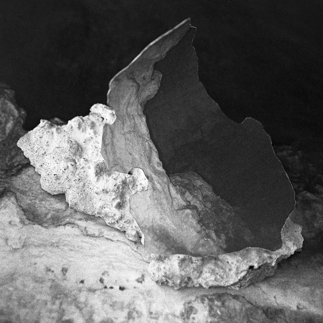 Flora Yin Wong • The Sacrifice