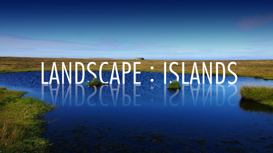 Joseph Young / Steve Beresford & Blanca Regina / Paul Khimasia Morgan / Brambling • Landscape : Islands