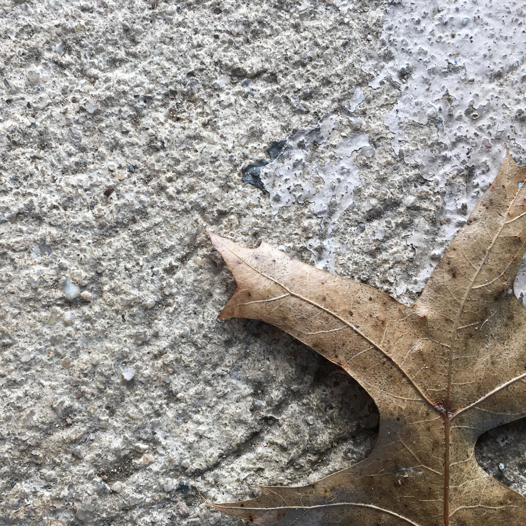 Lofield • Slow Cycles