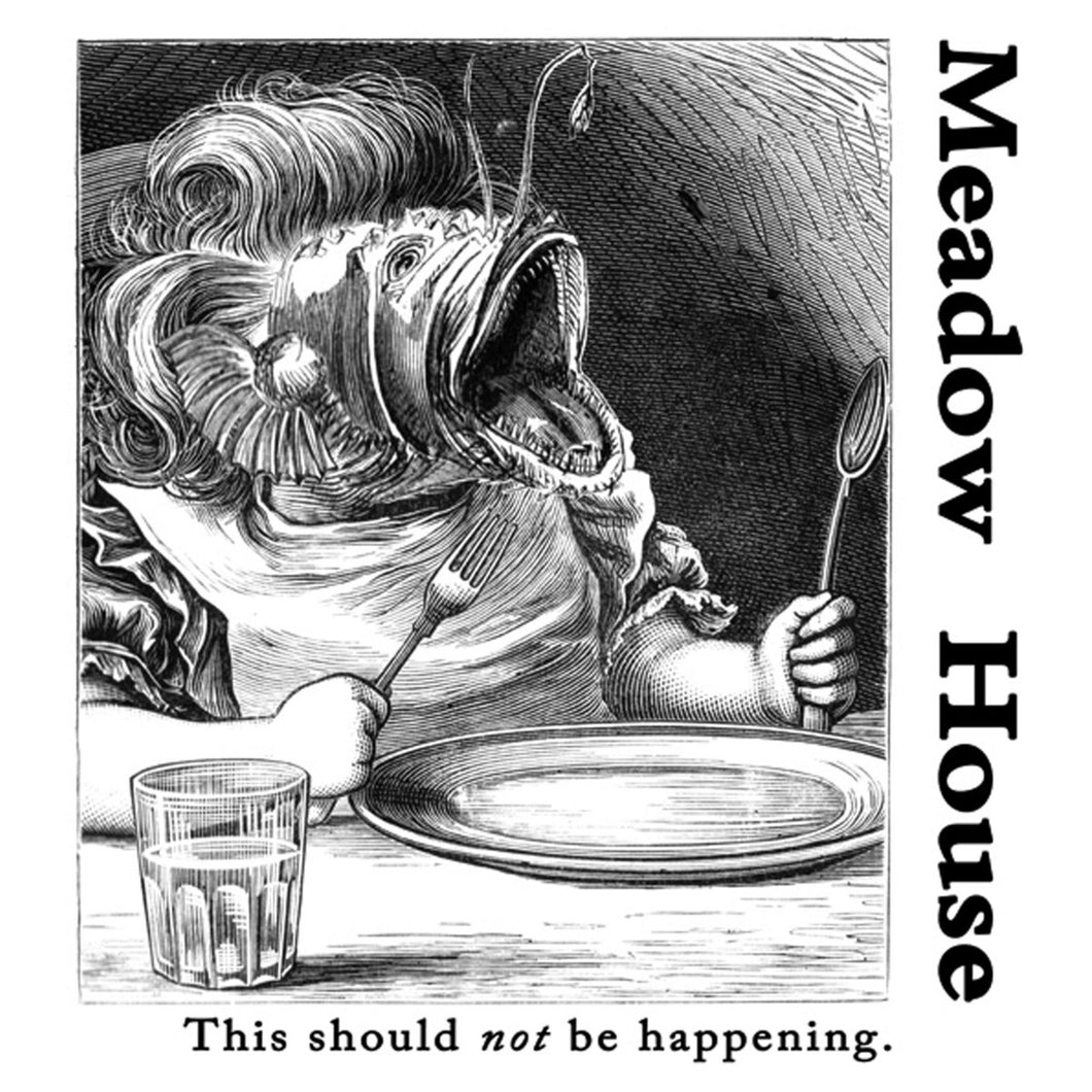 Meadow House • This Should Not Be Happening