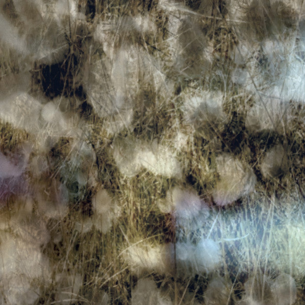 O Yuki Conjugate • Sleepwalker