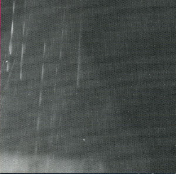 Peter Cusack • Where Is The Green Parrot?