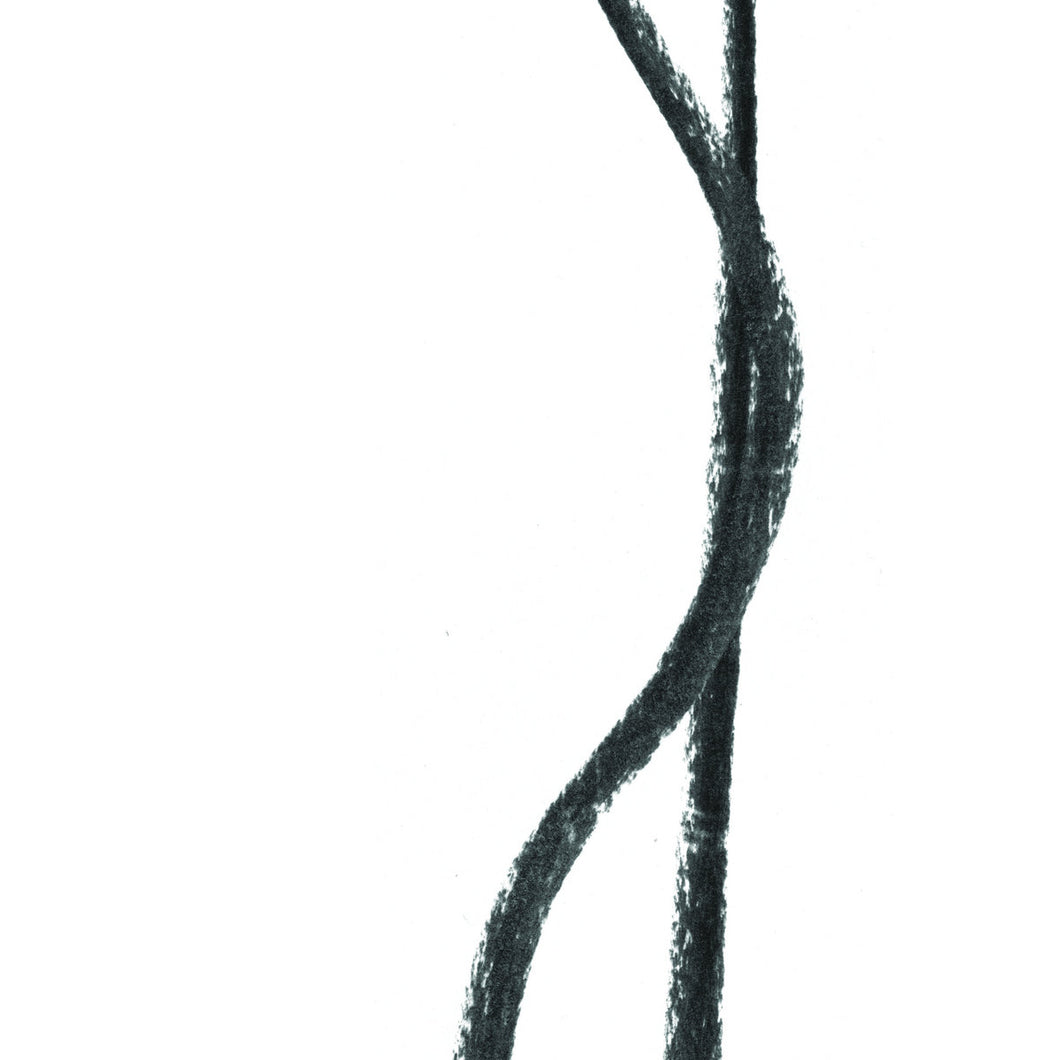 Tom Wheatley • Double Bass