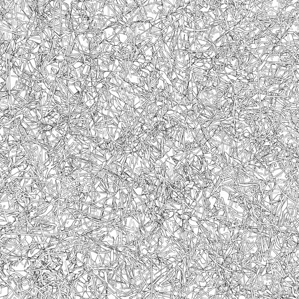 Transparentz × 坂田明* • Multidirectional Radiation