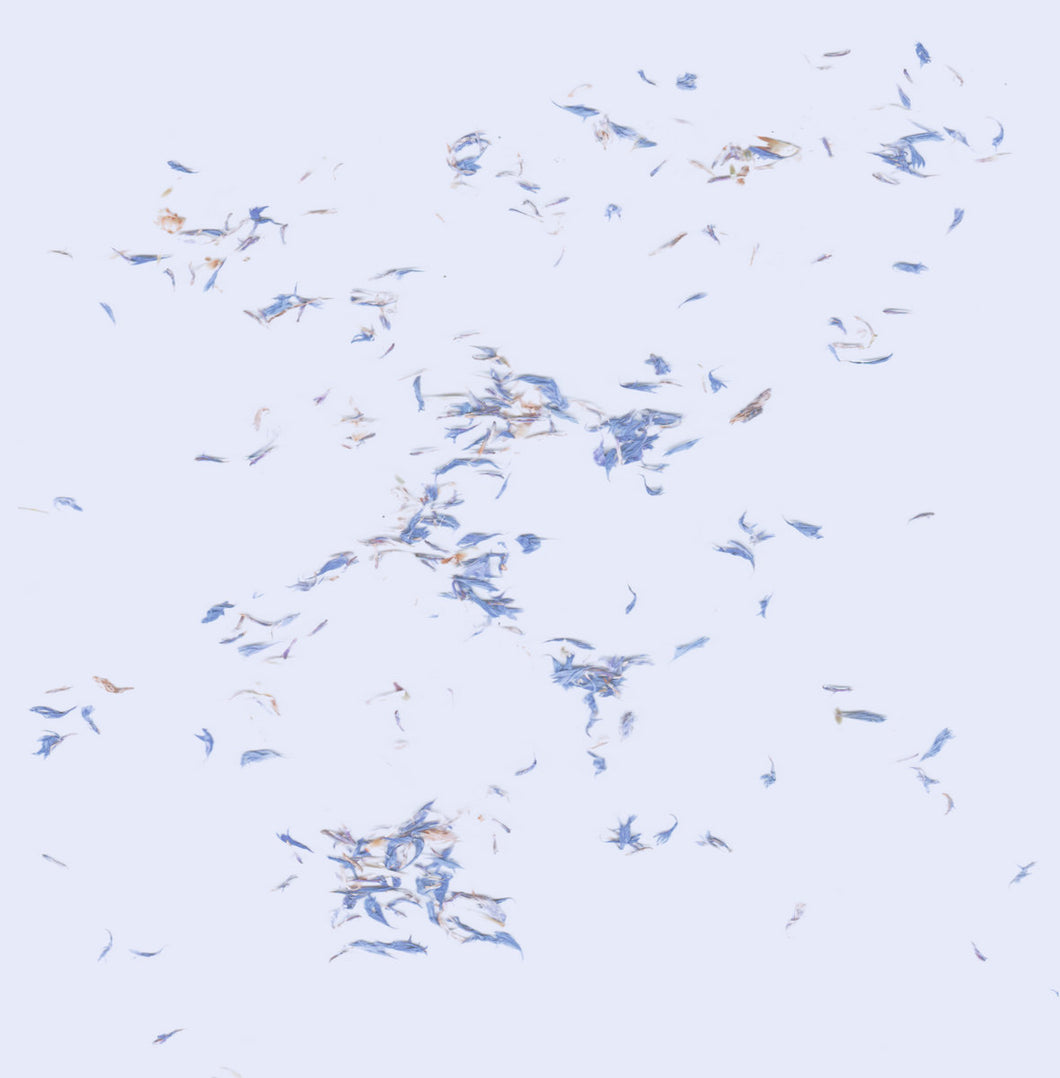 Ulla • Tumbling Towards a Wall