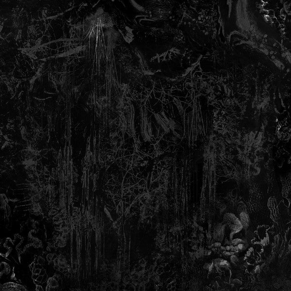 Vādin • Black Tortoise