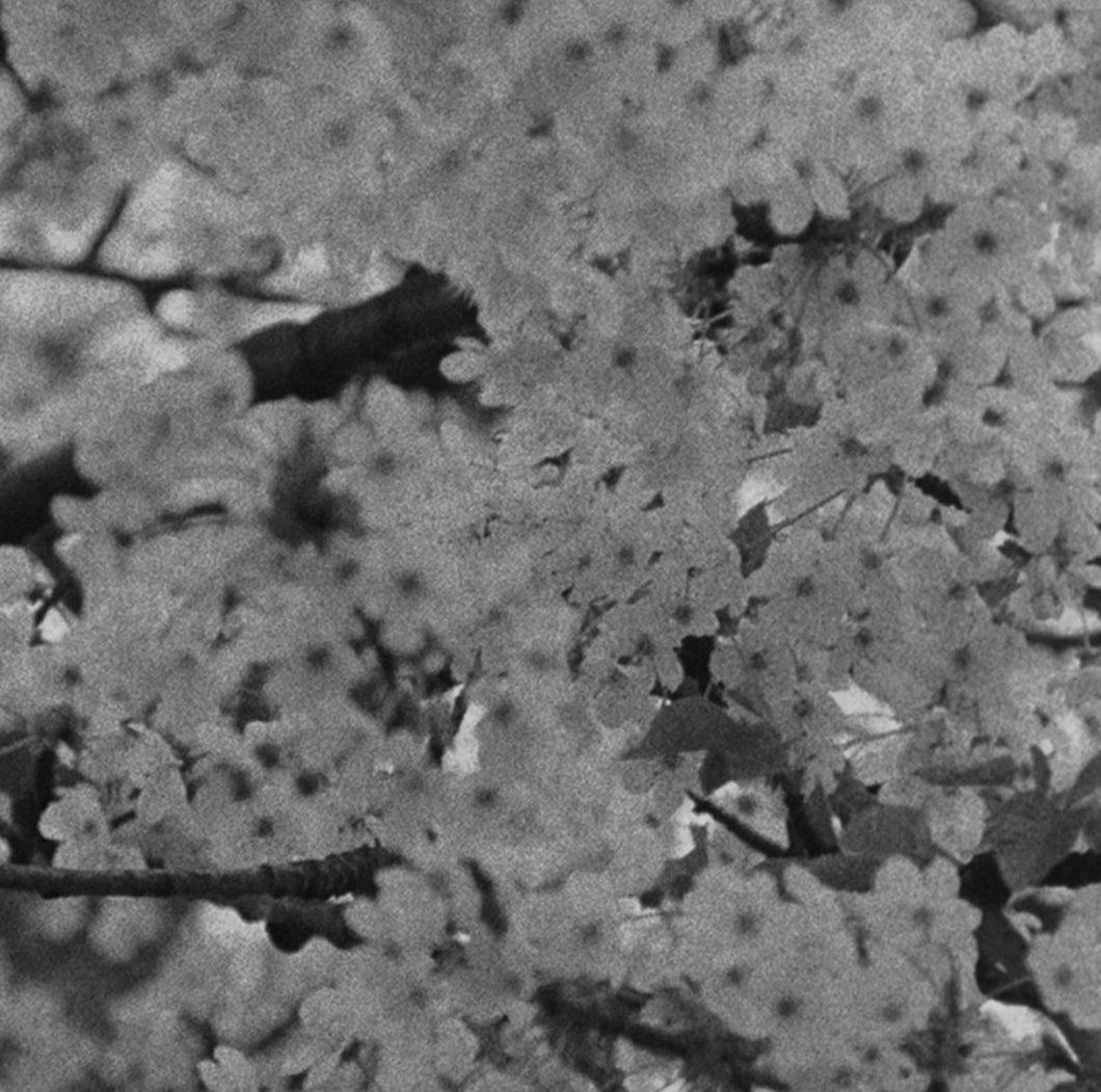 Various Artists • HFF Vol. 1