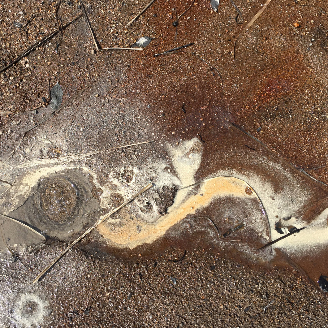 Viv Corringham • Until I Learn The Language Of Vegetable Mineral