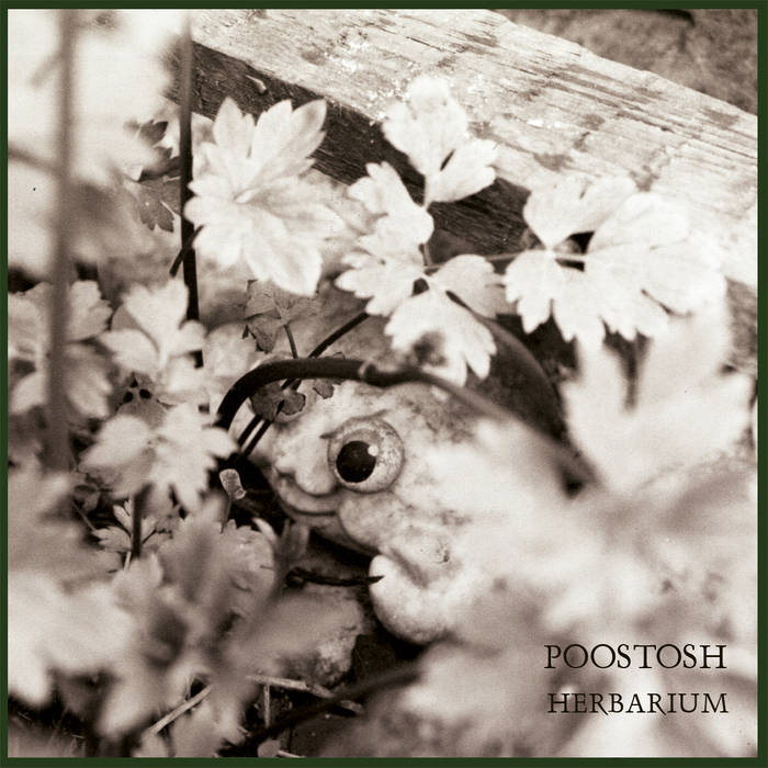 Poostosh • Herbarium