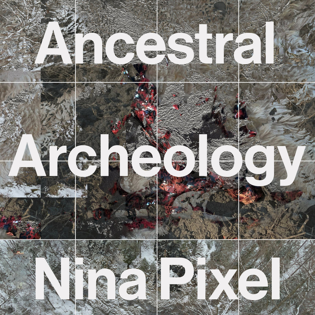 Nina Pixel • Ancestral Archeology
