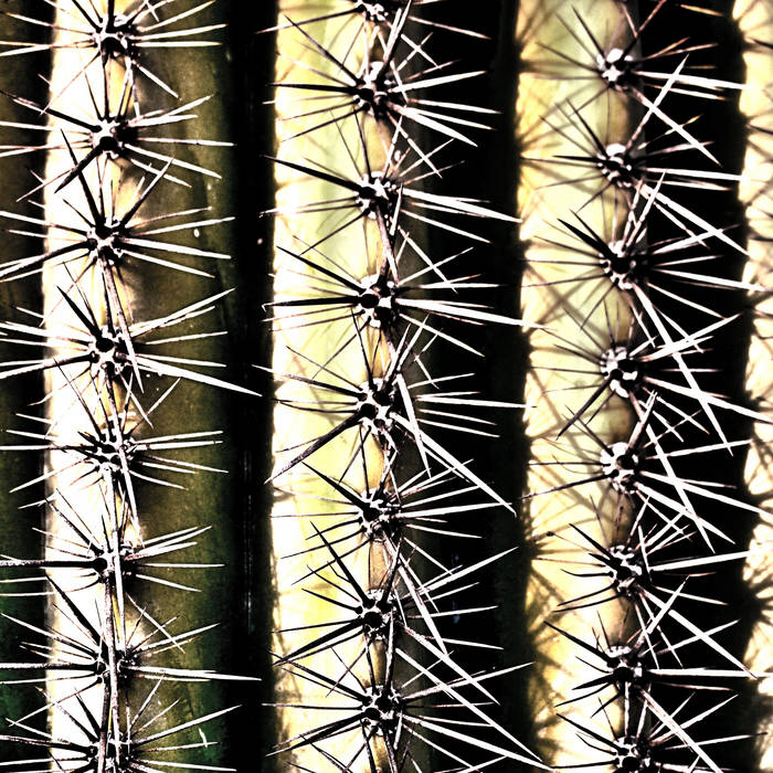 Paula García Stone and Sue Lynch • Burning Cacti