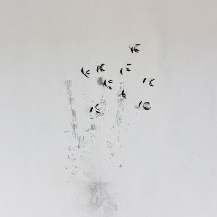 Ken Ikeda & David Toop •  Skin Tones