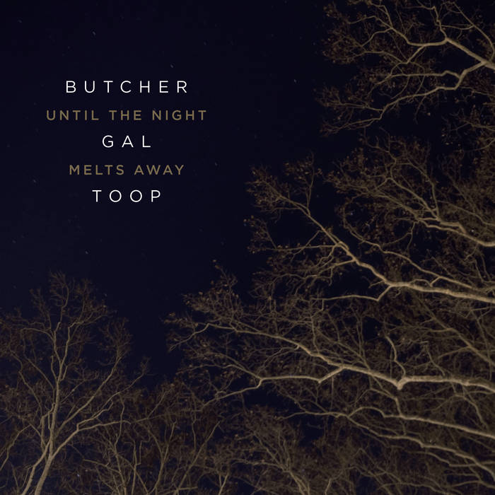 Butcher / Gal / Toop • Until The Night Melts Away