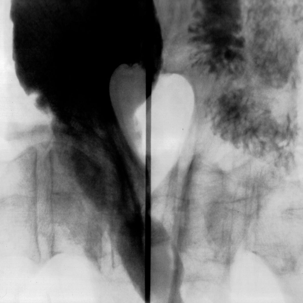 K. Kishino, J. Ottavi, N&F Cavaleri •  KK Null - The Noiser - Bruital Orgasme