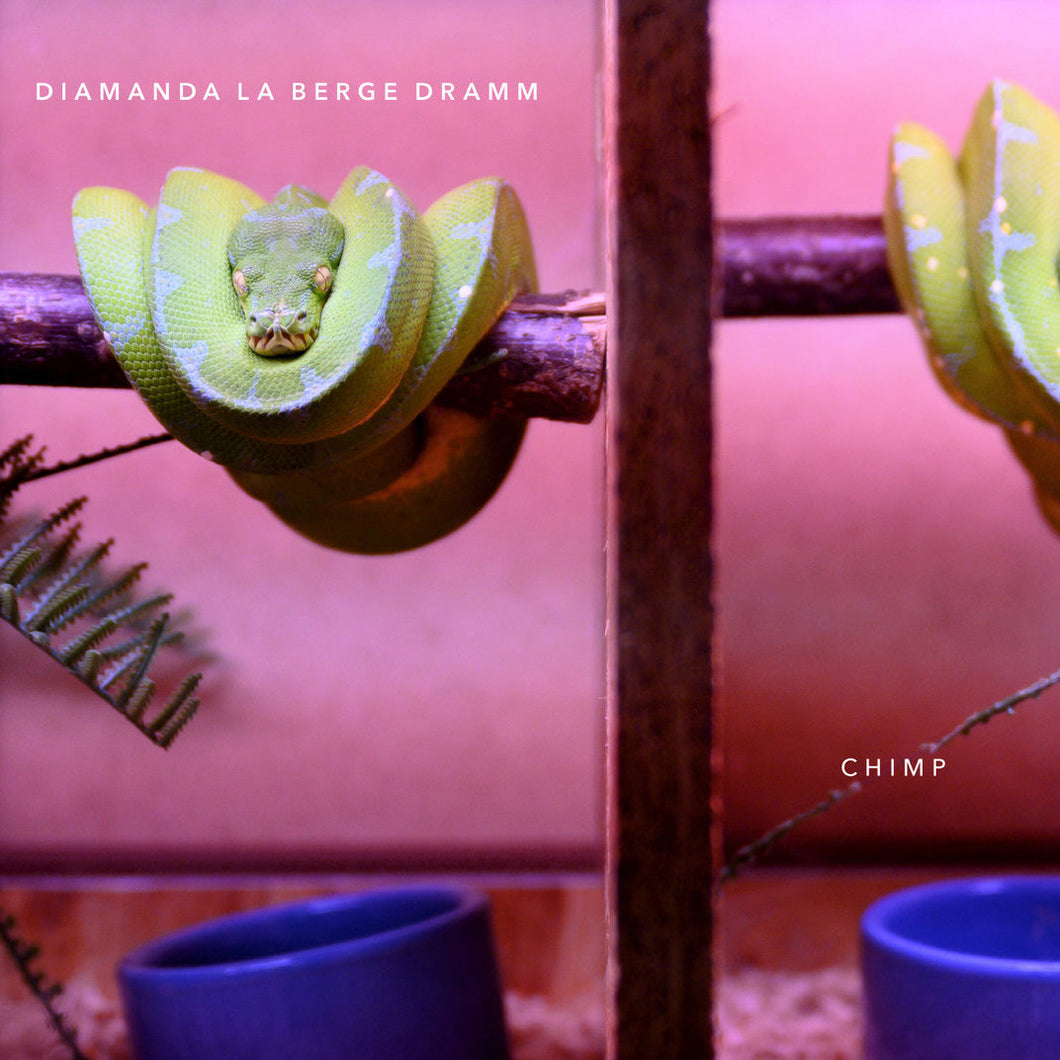 Diamanda La Berge Dramm • Chimp