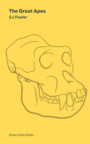 SJ Fowler • The Great Apes