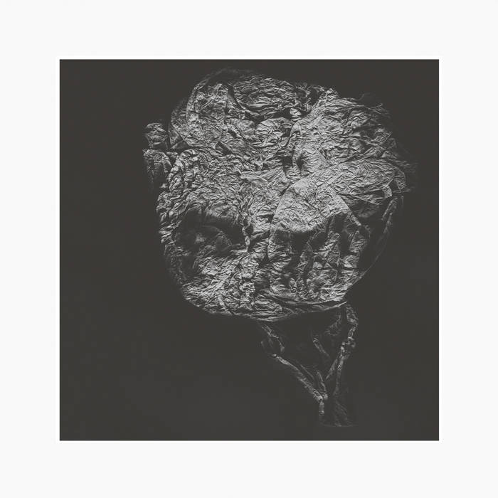 David Toop • Entities Inertias Faint Beings