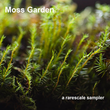 Multiple Artists rarescale • Moss Garden